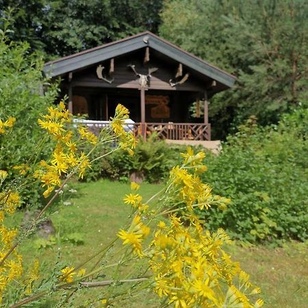 Blockhaus Am Twistesee Mit 3 Schlafzimmern Bad Arolsen Dış mekan fotoğraf