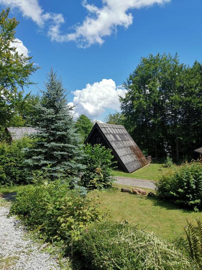 Blockhaus Am Twistesee Mit 3 Schlafzimmern Bad Arolsen Dış mekan fotoğraf
