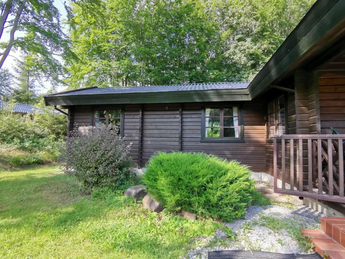 Blockhaus Am Twistesee Mit 3 Schlafzimmern Bad Arolsen Dış mekan fotoğraf