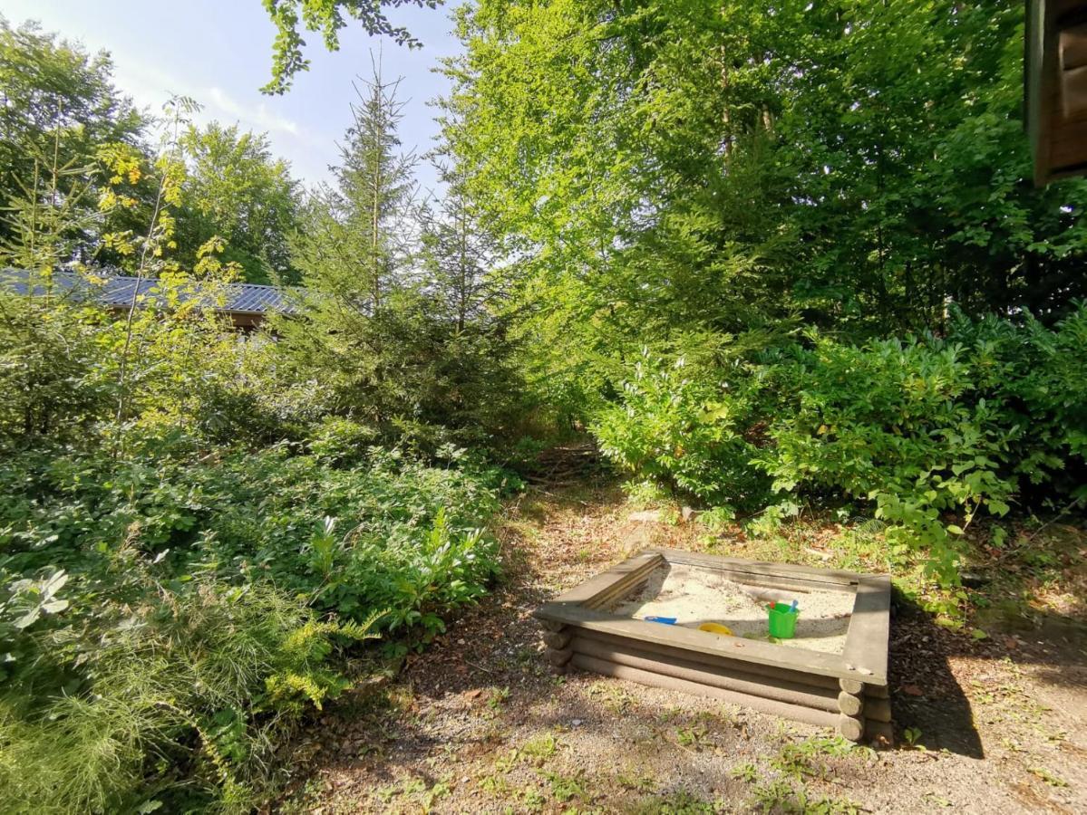 Blockhaus Am Twistesee Mit 3 Schlafzimmern Bad Arolsen Dış mekan fotoğraf